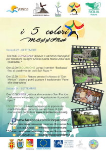 1x  I Cinque Colori locandina